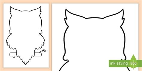 Owl Outline (teacher made) - Twinkl