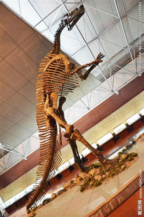现存最完整的霸王龙化石被拍卖 成交价为3180万美元_人民号