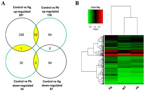 Analysis of Differential Gene Expression under Acute Lead or Mercury ...