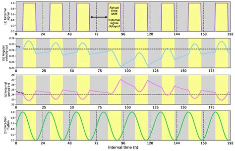 Image result for Matplotlib Scatter Funcanimation