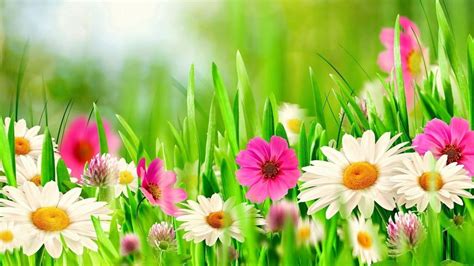 Mars Spring Craft & Vendor show, Marsvfwpost7505, 21 March to 22 March ...