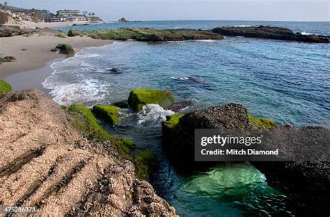 Laguna Beach Tide Pools Photos and Premium High Res Pictures - Getty Images