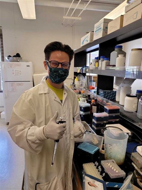 David Lab 的图像结果