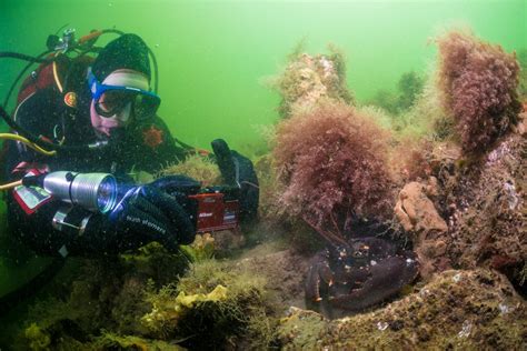 Nikon belicht donkere onderwaterwereld | Duikplaats.net
