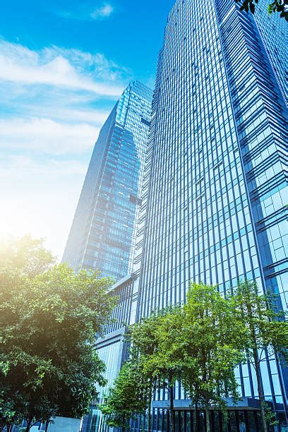 Skyscraper Side View 的图像结果