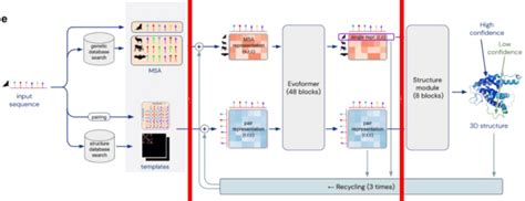 Alphafold2 Explained 的图像结果