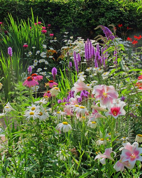 Tall Flowers For Cottage Garden at Mariam Martin blog