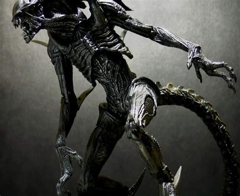 Image result for Alien Xenomorph
