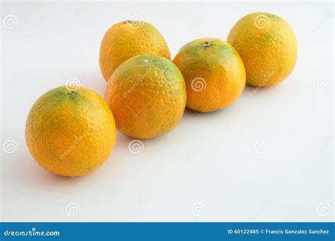 Set of tangerines stock image. Image of tropical, vegetarian - 60122485
