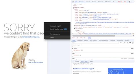 Image result for Inspect Element Tutorial