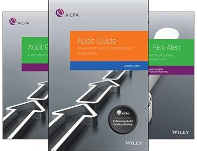 AICPA Audit Guide (3 books)
