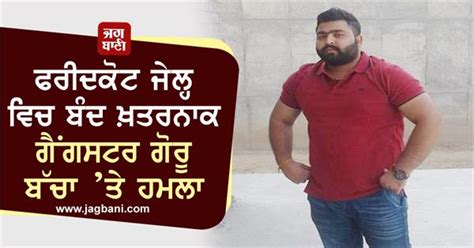 ਫਰੀਦਕੋਟ ਜੇਲ੍ਹ ਵਿਚ ਬੰਦ ਖ਼ਤਰਨਾਕ ਗੈਂਗਸਟਰ ਗੋਰੂ ਬੱਚਾ ’ਤੇ ਹਮਲਾ
