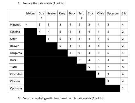 Image result for Create a Phylogenetic Tree Based On a Data Matrix