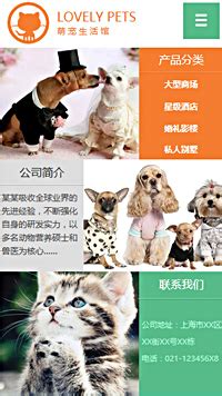 宠物网页设计图片_宠物网页设计素材_红动中国
