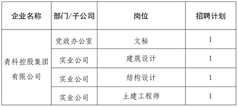 国企高薪，青科控股集团有限公司2022年度社会公开招聘公告_人员_进行_岗位