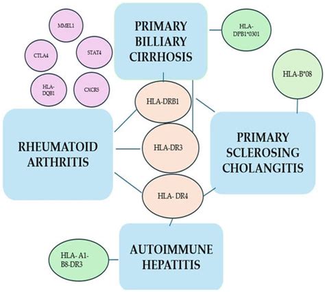 Autoimmune Liver Diseases and Rheumatoid Arthritis—Is There an ...