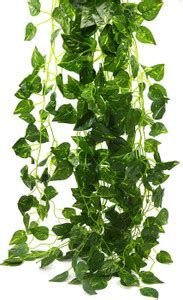 well art gallery Artificial Ivy Money Plants Leafs Creepers Greenery ...