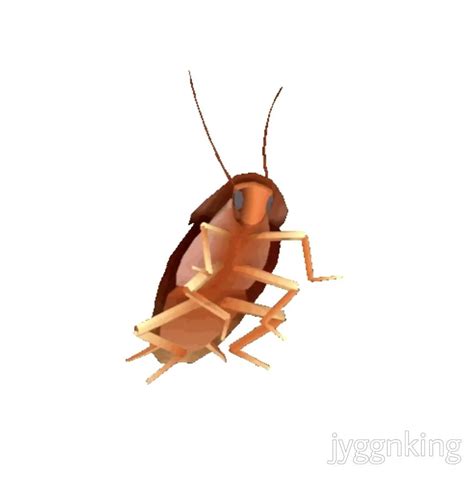 Cockroach Meme GIF 的图像结果