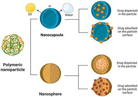 Microglia-Targeted Nanotherapeutics in Major Depressive Disorder: An ...