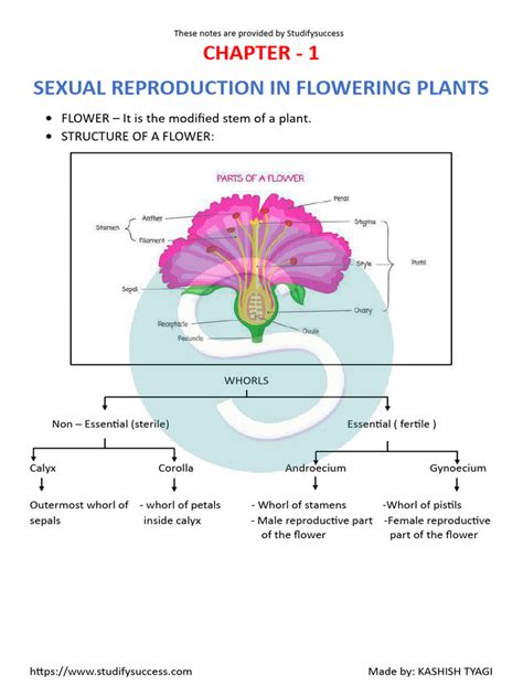 Image result for Functions of Labelling Class 12 Bio Ch. 1 Groth of Pollen Tube