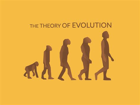 Evolution Theory 的图像结果