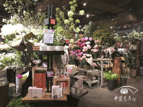 花店一般花品种和图片,花店花的名称和图片,花店花种价目表图片_大山谷图库