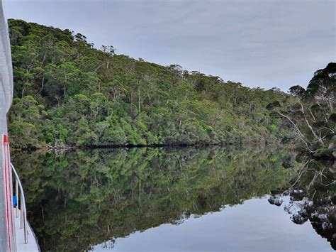 Arthur River Cruises - 2022 What to Know Before You Go (with Photos ...