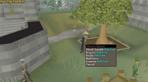 Image result for OSRS Tree Farming Locations