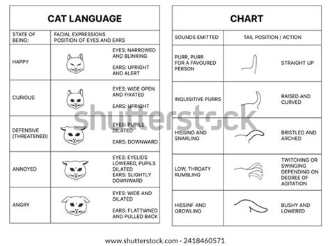 Image result for Cat Language