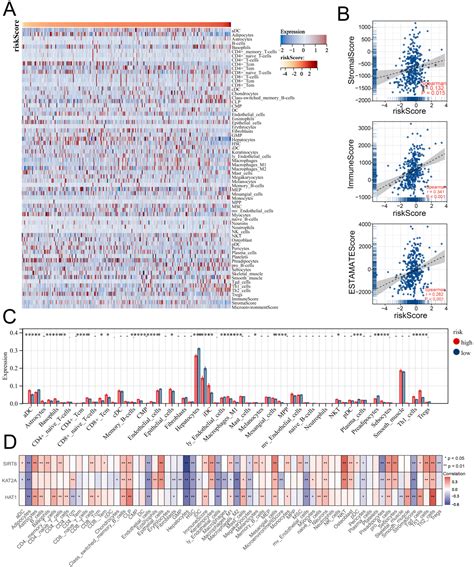 The Prognostic and Therapeutic Role of Histone Acetylation Modification ...