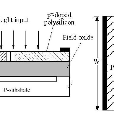 Image result for Silicon Photodiodes Using CMOS Technology