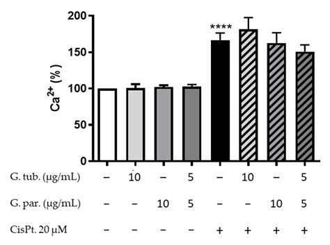 Nephroprotective Effects of Two Ganoderma Species Methanolic Extracts ...