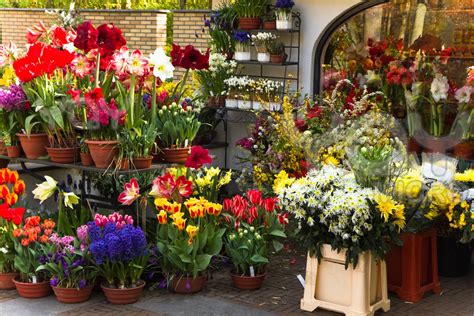 Blossoms Florists|Best Florist For home Delivery