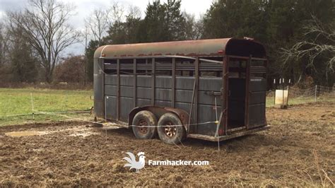 Image result for Loading Goats On Trailer