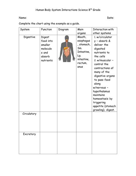 Body System Interaction Chart 的图像结果