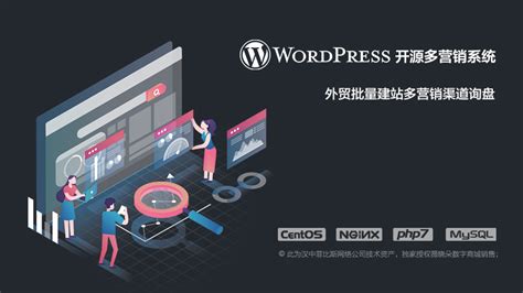 WordPress 多营销站群 外贸站群 询盘系统 - WordPress 多站点站群