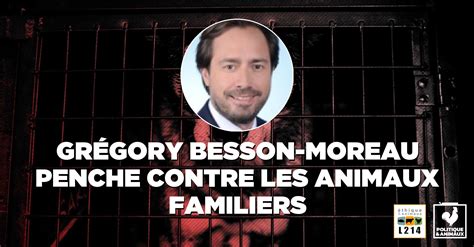 Image result for Gregory Besson Moreau