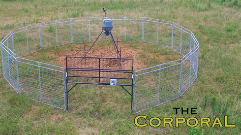 Hog Trap Shooting 的图像结果