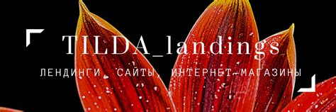 Лендинги/Сайты на Tilda | Всем доброго дня! 2025 | ВКонтакте