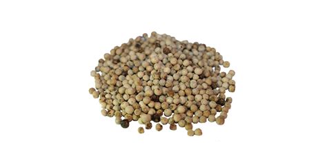Peppercorns White - The Spiceworks | Online Wholesale Dried Herbs And ...
