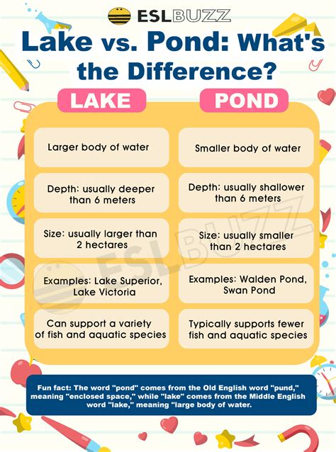How To Tell The Difference Between A Pond And A Lake at Steven Soper blog