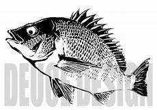 0以上 和風 魚 イラスト かっこいい 和風 魚 イラスト かっこいい Ikiikukowehgyi