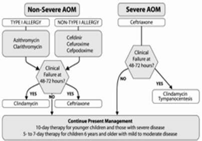 Kuvatulokset haulle penicillin allergy