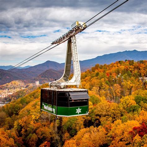 Fall in Tennessee: The Ultimate Guide & Autumn Bucket List