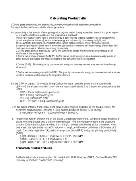 Productivity Calculation Examples 的图像结果