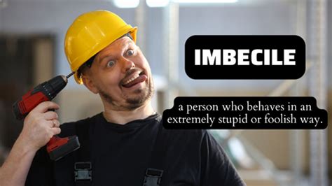 Meaning: a person who behaves in an extremely stupid or foolish way.