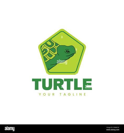 Image result for Turtle Logo in Gold Python