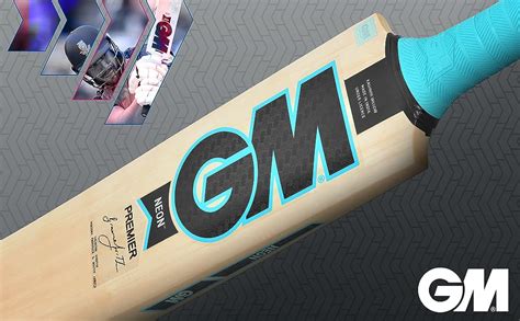 GM Neon Premier Kashmir Willow Light Weight Cricket Bat with Cover for ...