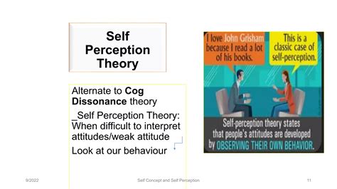 Examples of Self Perception 的图像结果