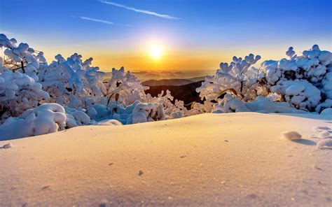 Download Deogyusan Park In Korea During Winter Wallpaper | Wallpapers.com